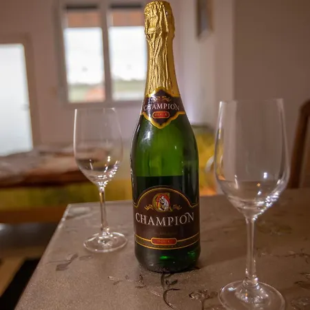 Апартаменты Lazic *