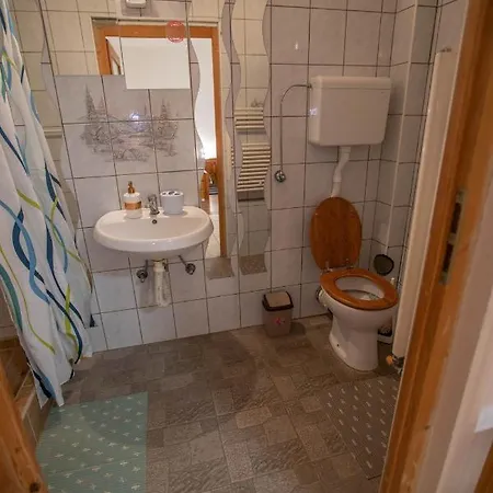 Lazic Апартаменты