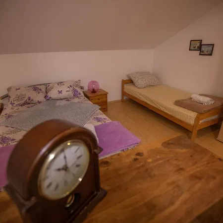 Апартаменты Lazic *