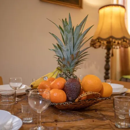 Lazic Apartment