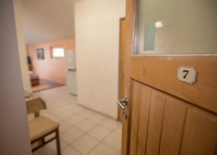 Lazic Apartment Ribarska Banja